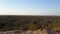 South African bushveld game reserve view