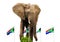 South-African Flags and Elephant