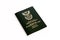 South African passport