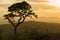 South African Safari sunset