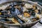 South African Seafood Mussels in a creamy sauce