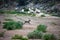 South African Waterbuck ring running along the dry riverbed