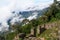 South America - Peru, Inca ruins of Choquequirao