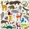 South America seamless pattern sloth anteater toucan lama bat fur seal armadillo boa manatee dolphin Maned wolf jaguar macaw