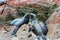 South American Sea lions relaxing on rocks of Ballestas Islands in Paracas National park,Peru.