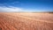 south australia agriculture dry field