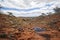 South Australia â€“ Outback desert with scrubs and trees as panorama