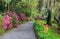 South Carolina Garden Walkway Flowers Azaleas