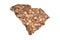 South Carolina State Map Outline and Pile of One Cent United States Pennies, Money Concept