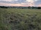 South Dakota Natural Prairie Reserve