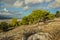 South exotic park outdoor mountain rocks nature Savannah landscape with vivid green trees on a ground and bare stones in clear