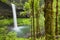 South Falls in the Silver Falls State Park, Oregon, USA