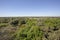 South Florida Pine Flatwoods And Wetlands