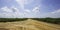 South Georgia cotton fields panorama