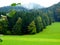 South German landscape with lush meadow at the edge of the forest and mountain in the mist as background