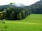 South German landscape with lush meadow at the edge of the forest and mountain in the mist as background 2