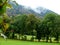 South German landscape with lush meadow at the edge of the forest and mountain in the mist as background 3