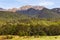 South Island landscapes on the way to Milford Sound. Forest and picturesque rocks. Fiordland. New Zealand