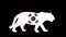 South Korea flag over tiger national animal vector silhouette illustration isolated on black background.