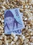 South Korea, maize consuming country, heap of corn grains and south korean banknote of 1000 won