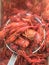 South Louisiana Crawfish. Fine Cajun Cuisine