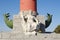 South Rostral column closeup, St.Petersburg, Russia