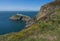 South Stack Lighthouse - flowers