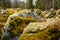 South Ural kurumnik, stones, cobblestones, moss with a unique landscape, vegetation and diversity of nature.