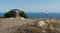 South view from Monte Fonza hill wiht island Montecristo in backroud on the island Elba