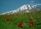 The South view of Mount Damavand