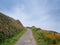 South West Coast Path in Devon, with Crocosmia flowers.