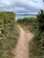 South West coastal path Salterton to Ladram Bay, Devon