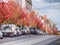 South Yarra, VIC/Australia-April 27th 2018: Melbourne`s suburban street with autumn trees.