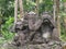 Southeast Asia Indonesia Bali Monkey Forest Park Entrance Stone Three Wise Monkeys Sculpture Wild Balinese Jungle See No Evil Sage