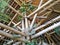 Southeast Asia Indonesia Bali Seminyak Ubud Canggu Cafe Restaurant Bamboo Structure Architecture Interior Design Durable Building
