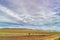 Southern Alberta Farm Fields