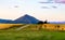 The Southern Alps over a barley field at sunset in Wanaka Otago New Zealand