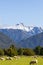 Southern Alps Views. Mount Cook and mount Tasman. South Island, New Zealand