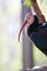 Southern Bald Ibis