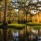 Southern Bayou Swamp with Bald Cypress Trees and Spanish Moss at Stunning Scenic Landscape