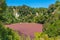 Southern crater lake at Waimangu volcanic valley in New Zealand