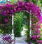 Southern Garden Gate With Bouganvillea