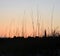 Southern Historical Lighthouse Coastal Architecture and Sunset/Sunrise at the Beach