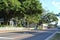 Southern houses with live oaks along a street