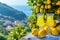 Southern Italian Coastal Scene with Homemade Limoncello