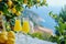Southern Italian Coastal Scene with Homemade Limoncello