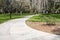 Southern Live Oaks covered in Spanish Moss growing in Savannah`s historic squares. Savannah, Georgia