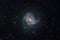 The Southern Pinwheel galaxy