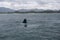 Southern Right Whale surfacing to take a breath in the Indian Ocean near Hermanus