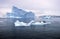 Southern sea lion sleeping on ice floe with glaciers and icebergs in Paradise Harbor, Antarctica